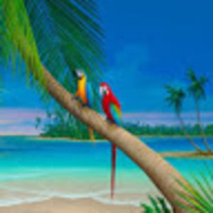 Meet your Posher, Yvonne